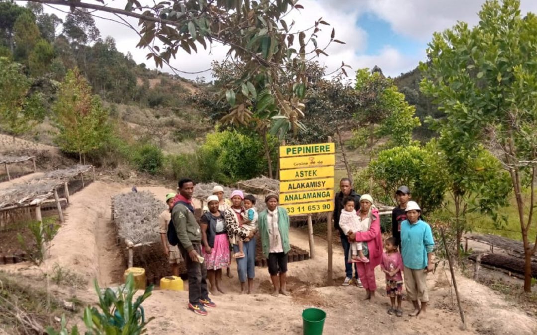 Les collaborateurs Astek se mobilisent contre la déforestation